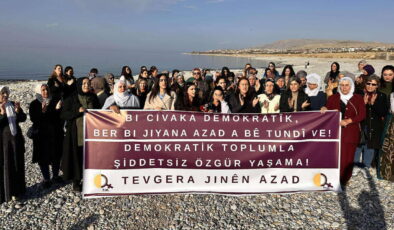 Van’da kadınlar, Rojin Kabaiş için adalet istedi