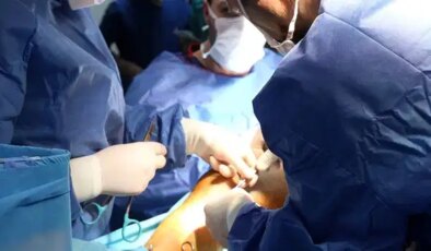 Yeni bir dönemin başlangıcı olabilir: Organları çatlatmadan dondurmanın yolu bulundu