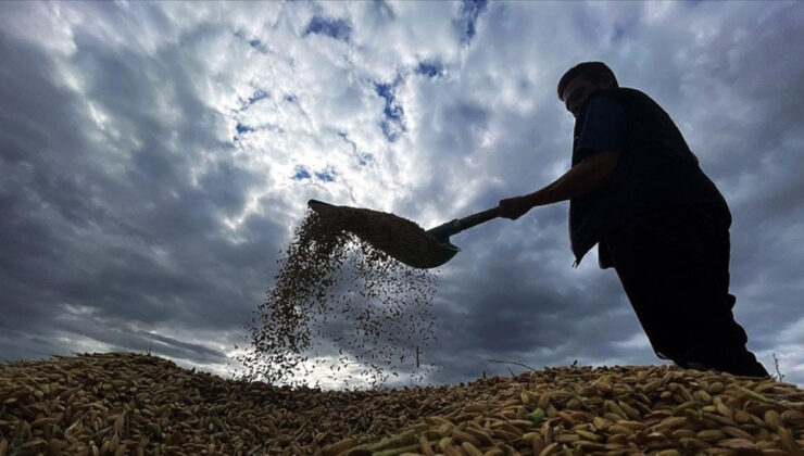 Zirai don desteğinde üreticilere 1,7 milyar lira daha ödenecek