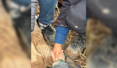 10 yaşındaki çocuk diri diri gömülmüştü: Şüpheli dayı tutuklandı