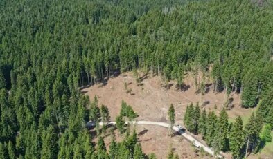 11 ilde bazı alanlar orman sınırları dışına çıkarıldı… Rızvanoğlu’dan tepki: ‘1 milyon 651 bin metrekare orman alanımız arsa oldu!’