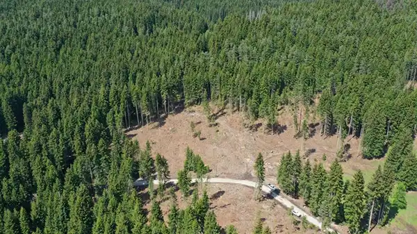 11 ilde bazı alanlar orman sınırları dışına çıkarıldı… Rızvanoğlu’dan tepki: ‘1 milyon 651 bin metrekare orman alanımız arsa oldu!’