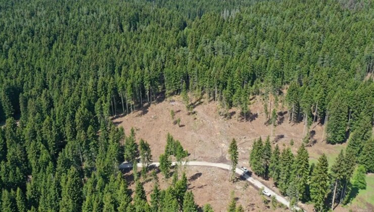 11 kentte bazı alanlar orman sınırları dışına çıkarıldı