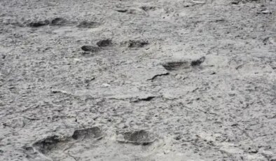 200 milyon yıl öncesinden kaldığı düşünülen binlerce dinozor ayak izi keşfedildi