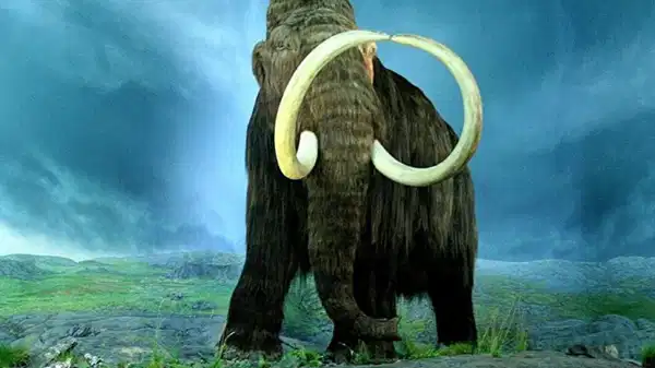 40 bin yıllık gizem aydınlatıldı: Yünlü mamuttan dünyanın en eski RNA’sı çıkarıldı