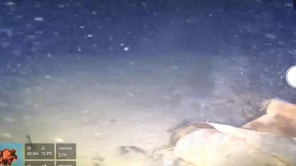 42 kişi hayatını kaybetmişti… Marmara Denizi’nde 50 yıllık sır perdesi aralanıyor: THY’nin düşen uçağının enkazı bulundu mu?