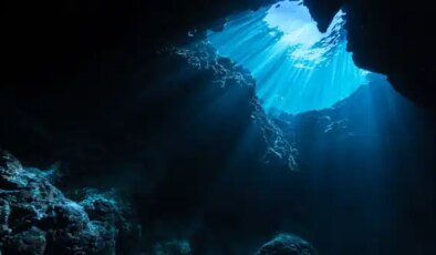 507 yaşındaki dünyanın en yaşlı canlısı bulunduğu gün öldürüldü