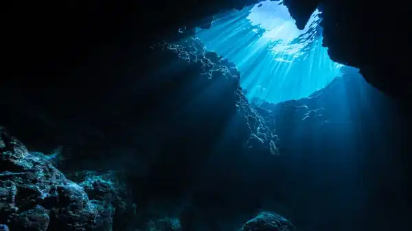 507 yaşındaki dünyanın en yaşlı canlısı bulunduğu gün öldürüldü