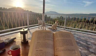 EVLİLİK ÖNCESİ DANIŞMA ve EĞİTİM NEDEN ÖNEMLİ