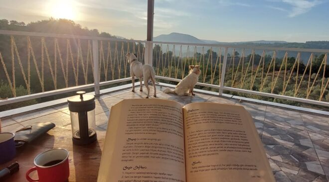 EVLİLİK ÖNCESİ DANIŞMA ve EĞİTİM NEDEN ÖNEMLİ