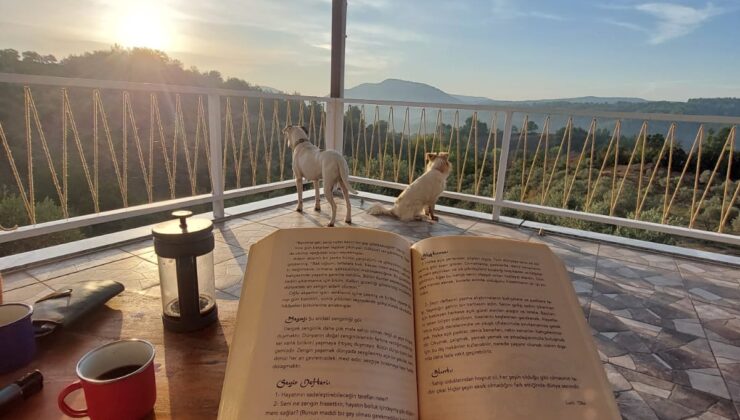 EVLİLİK ÖNCESİ DANIŞMA ve EĞİTİM NEDEN ÖNEMLİ