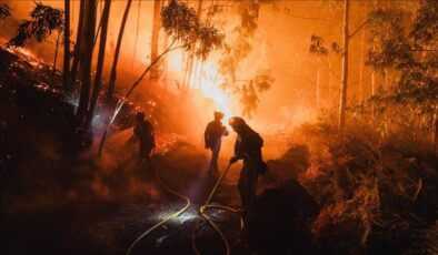 AB ormanları 2025’teki yangınlarda en büyük kaybı yaşadı
