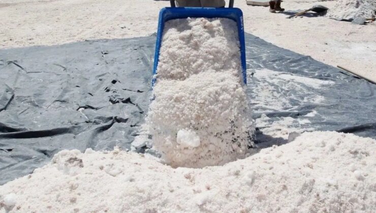 ABD’de 1,5 trilyon dolarlık dünyanın en büyük lityum rezervi keşfedildi