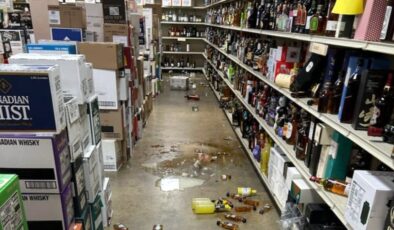 ABD’de içki dükkanına giren rakun sarhoş olup sızdı