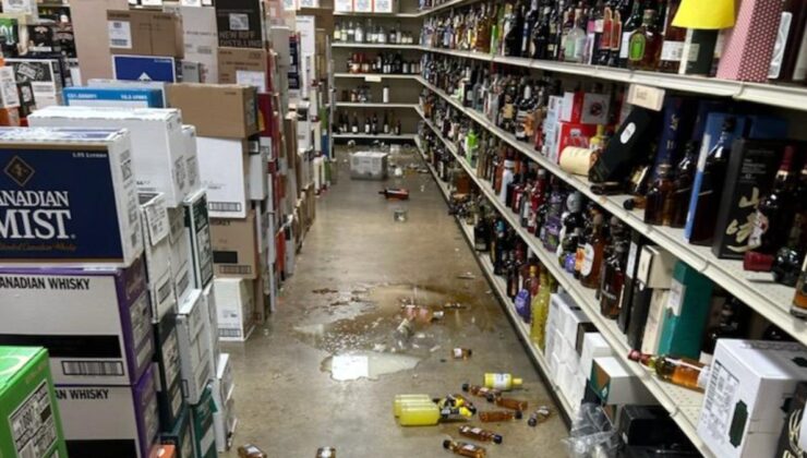 ABD’de içki dükkanına giren rakun sarhoş olup sızdı