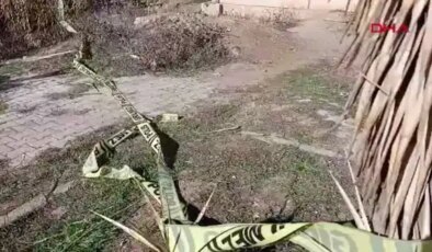 Adana’da yol kenarında bir kadının cansız bedeni bulundu