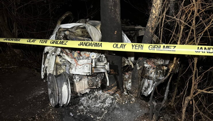 Ağaca çarpan hafif ticari aracın sürücüsü yanarak öldü!