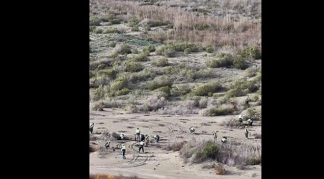 Ağyatan Lagünü’ne 100 bin yeni ağaç: Ekosistem koruma çalışmaları