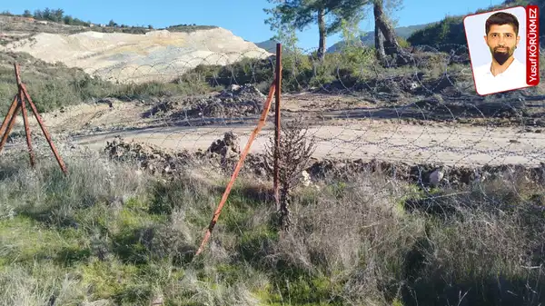 Akbelen’deki zeytinlikler için bir kez daha Danıştay’a gidildi