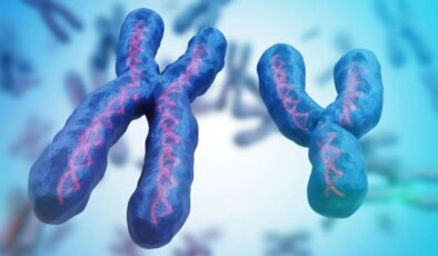 Araştırma: Erkek cinsiyetini belirleyen Y kromozomu yok oluyor