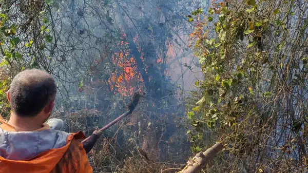 Artvin’de örtü yangını ormana yayıldı: Ekiplerin müdahalesi sürüyor!