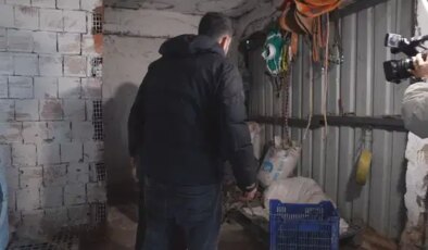 Ataşehir’de kaçak at kesimi iddiası: 2 şüpheli gözaltına alındı