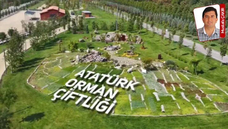 Atatürk Orman Çiftliği ve Sümer Holding AŞ zarar ediyor: Cumhuriyet kurumlarının hali perişan!