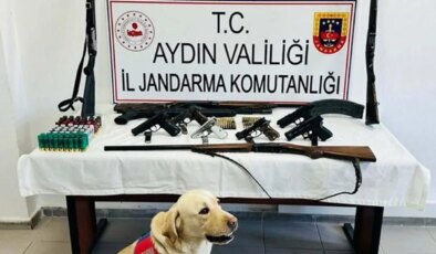 Aydın’da ‘yasa dışı silah ticareti’ operasyonu: 1 gözaltı