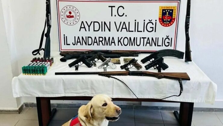 Aydın’da ‘yasa dışı silah ticareti’ operasyonu: 1 gözaltı