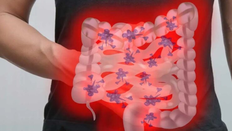 Bağırsak sağlığı, uzun yaşam üzerinde belirleyici rol oynuyor