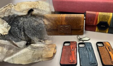 Balon balığı derisinden yaptığı aksesuarlar mahkemelik oldu