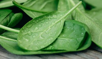 Besin zehirlenmelerinden korunmak için dikkat edilmeli: Ispanak ikinci kez ısıtılır mı?