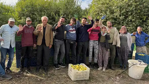 Binlerce ailenin geçim kaynağı: Kışın toplanıyor, yazın satılıyor…