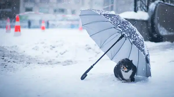 Bu kış kar yağacak mı? Uzmanlardan 2026 tahminleri…