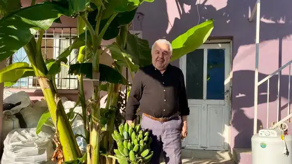 ‘Burada tutmaz diyenleri dinlemedi’ 70 rakımda yetiştirdi: İlk hasadını yaptı