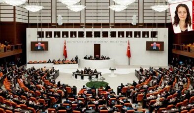 Bütçe görüşmelerinde sert sözler, barış vurgusu ve gerginlik: ‘Bunun sonu iç çatışma’