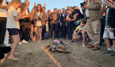 Caretta caretta ‘Cumhuriyet’i 9 bin kişi izledi