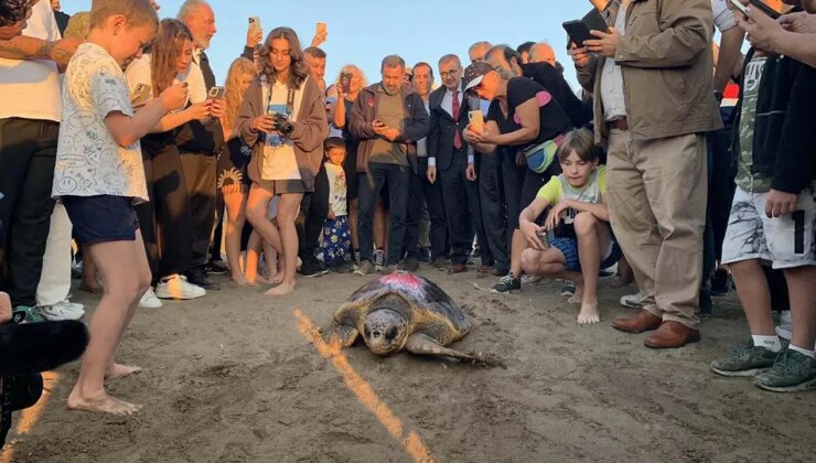 Caretta caretta ‘Cumhuriyet’i 9 bin kişi izledi