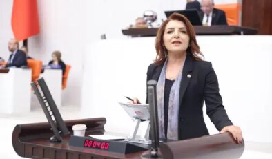 CHP’li Kış’tan Akkuyu eleştirisi: ‘Risk bizde, kontrol başkasında’