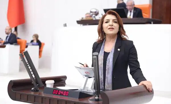 CHP’li Kış’tan Akkuyu eleştirisi: ‘Risk bizde, kontrol başkasında’