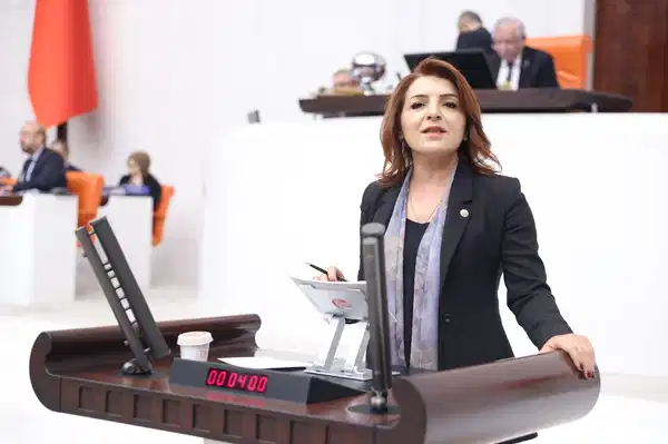 CHP’li Kış’tan Akkuyu eleştirisi: ‘Risk bizde, kontrol başkasında’