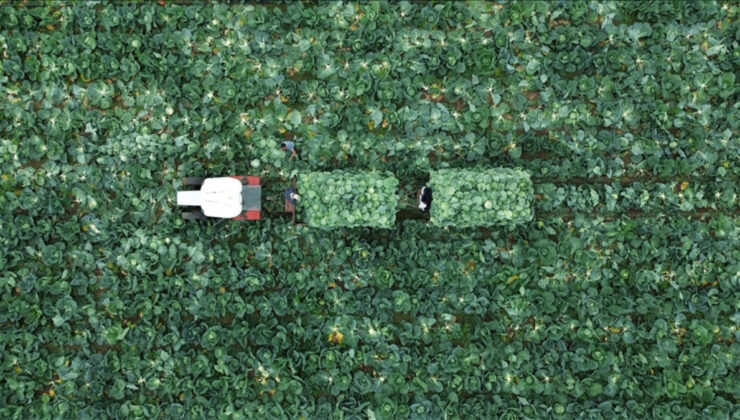 Çiftçi Kayıt Sistemi’ne başvurmak için son tarih 31 Aralık