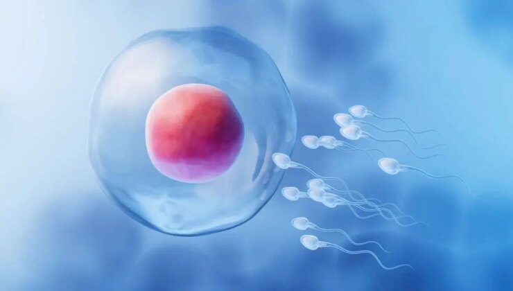 Çinli bilim insanlarından sperm hareketliliğini artıran losyon