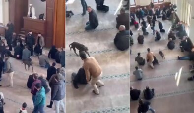 Cuma namazı öncesi panik anları… Camiye pitbull girdi!