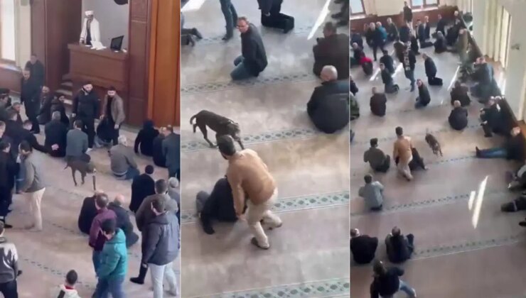 Cuma namazı öncesi panik anları… Camiye pitbull girdi!