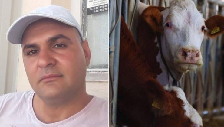 Dananın kafa darbesiyle ağır yaralanan sahibi hayatını kaybetti