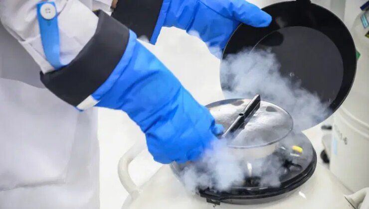 Danimarka’da sperm bankasından IQ testi şartı