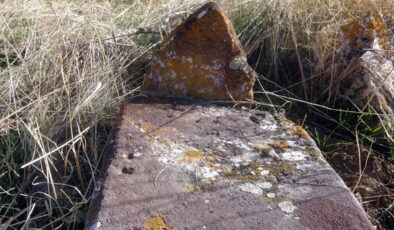 Define avcıları talan etti: Altın bulmak için kazdılar, insan kemiklerini çıkardılar