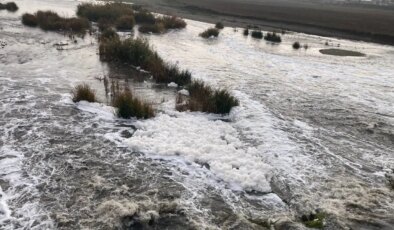 Dicle Nehri alarm vermeye başladı: Köpük akıyor!