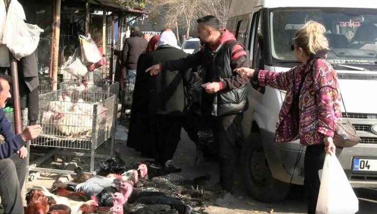Diyarbakır’da yılbaşı öncesi hindi satıcıları dertli: ‘Kimse alamıyor…’